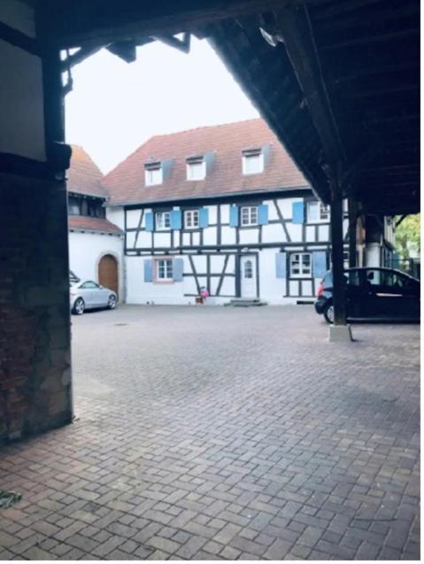Charmant Appartement Proche Strasbourg A Eckwersheim Exterior foto